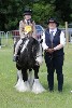 thornton-le-dale-gala showclass7acharity25-5-20214